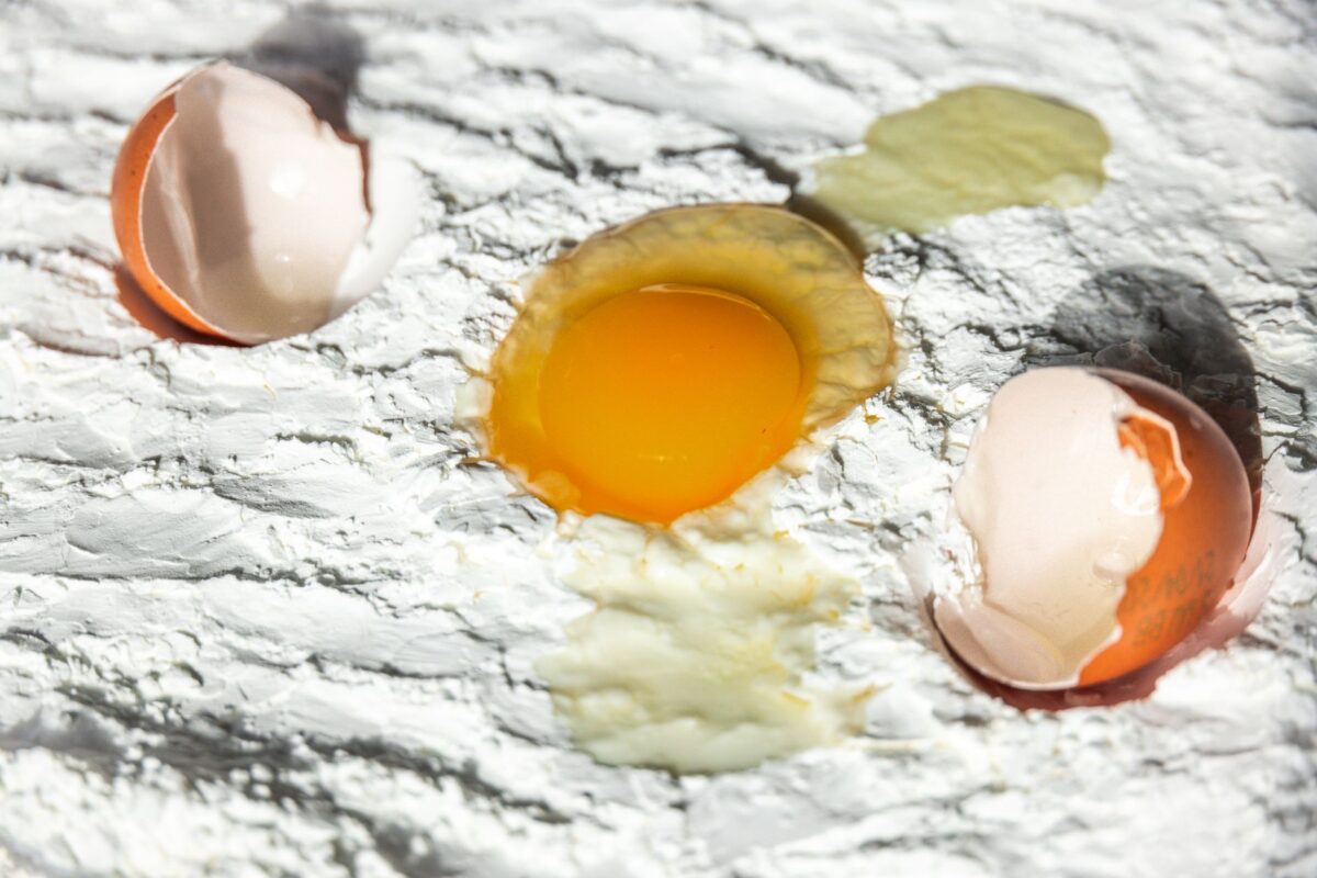 poids blancs œufs remplacer blanc œuf