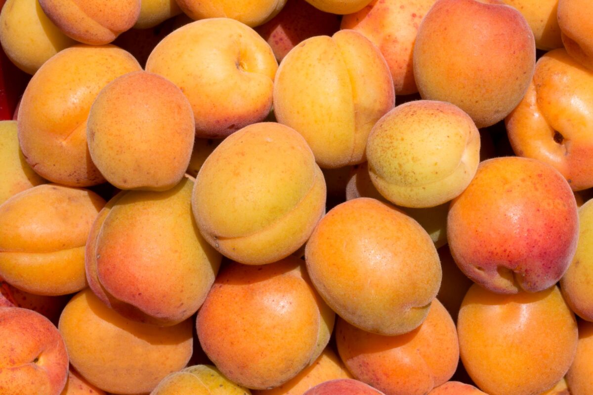 tarte mirabelles congelées erreurs fréquentes éviter