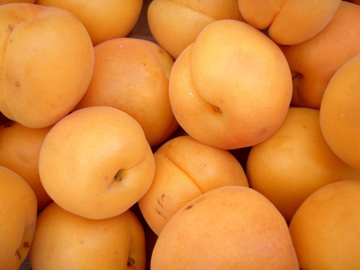 liqueur mirabelle eau variantes tester noyaux